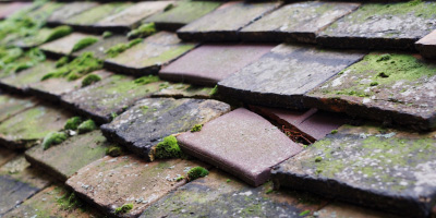 Hartfield roof repair costs